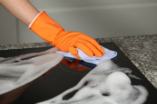 Professional carpet cleaning in a Highbury home