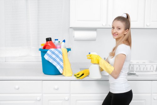 Fabric care and upholstery maintenance for Highbury households