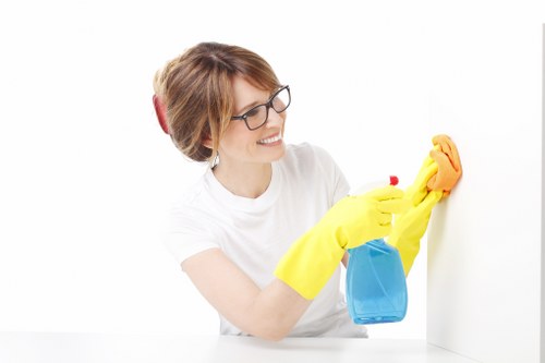 Professional cleaning tools used for pet stain odour removal in Highbury