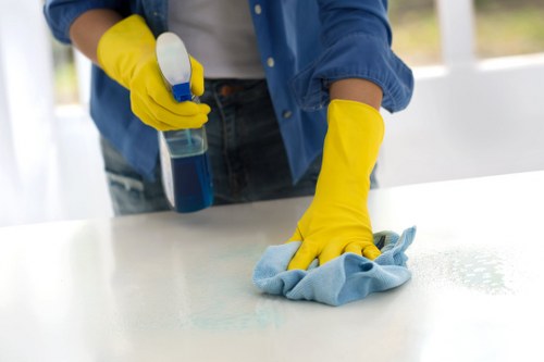 DIY and professional stain removal tools for Highbury homes